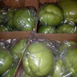 Chayote (Sayote) approx 1kg