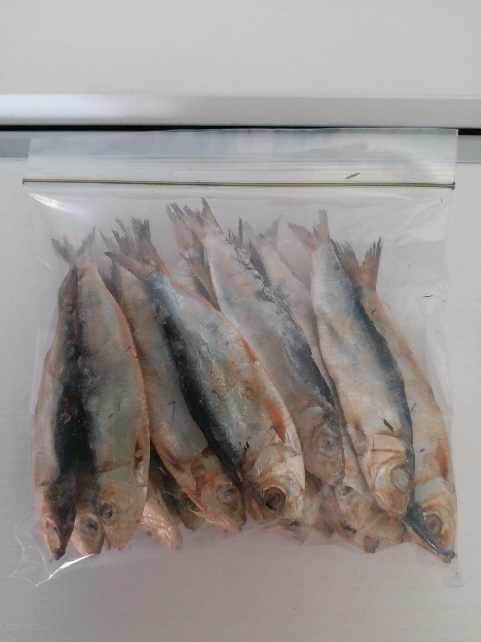 Dried Fish Tuyo 100g. - 魚介類(加工食品)