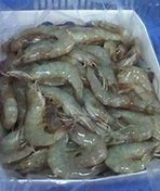 Playas Equador Head On Shrimps 40/50 - Jessica's Filipino Foods