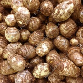 EDDOES/ GABI 450G TO 500G