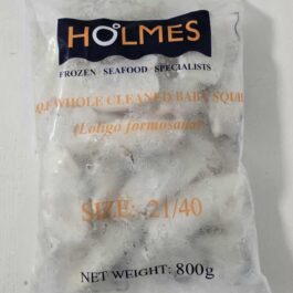HOLMES SUQUID CLEAN 1KG